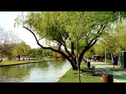 Sony Xperia E4g video sample I. (Full HD, 1920x1088px, 30FPS) - Mobilissimo.ro