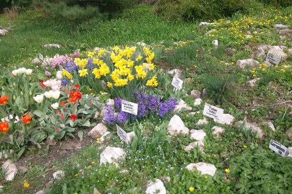 LG Optimus G E970 - Mostre Foto (ziua)