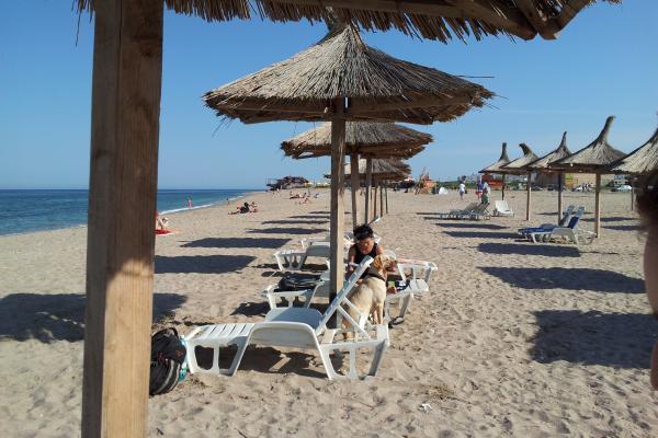 Samsung I9100 Galaxy S II - Mostre Foto (ziua)