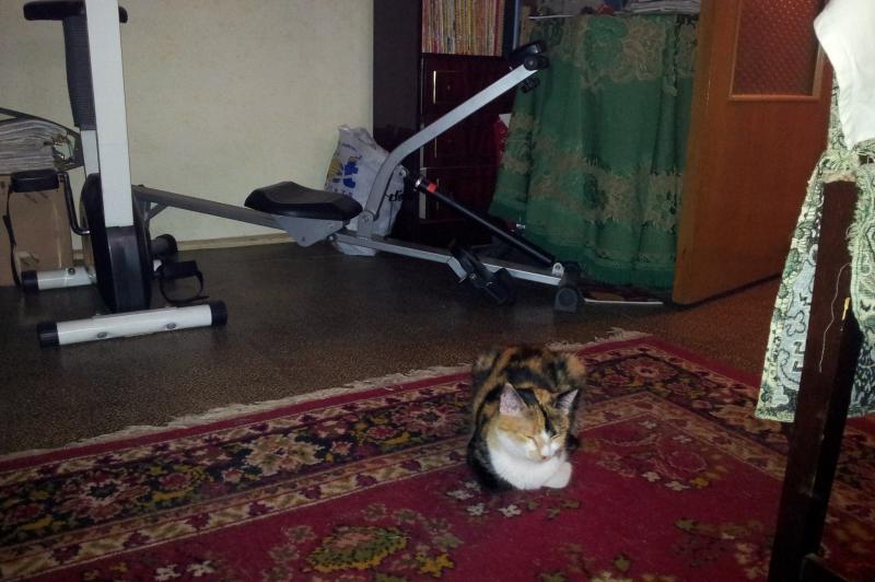 Samsung I9100 Galaxy S II - Mostre Foto (la interior): Samsung-I9100-Galaxy-S-II-Mostre-foto-interior_006.jpg