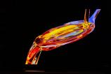 Samsung-OLED-77S95F_004.jpg