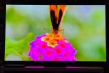 Samsung-OLED-77S95F_037.jpg