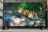 LG-65QNED8A-Design_032.jpg