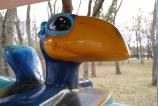 IMG_20190319_161825642.jpg