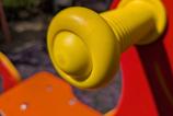 PXL_20250409_085122061.MACRO_FOCUS.jpg