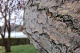 Samsung-Galaxy-A56-Mostre-Macro_002.jpg