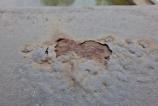 Samsung-Galaxy-A56-Mostre-Macro_008.jpg