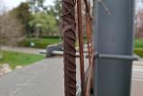 Samsung-Galaxy-A56-Mostre-Zi_018.jpg