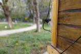 Samsung-Galaxy-A36-Mostre-Bokeh_3.jpg