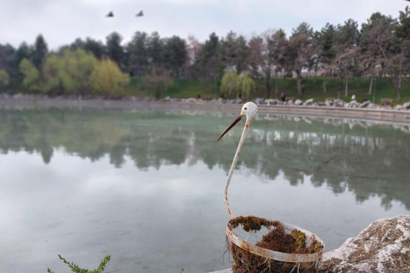 Samsung Galaxy A36 - Mostre bokeh: Samsung-Galaxy-A36-Mostre-Bokeh_4.jpg