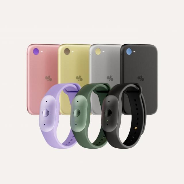 Amazon lansează gadgeturi AI Bee Frontier și Bee Eclipse cu rezumate automate și autonomie amplă