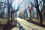 Samsung-Galaxy-S25-Ultra-Mostre-Filtre_013.jpg