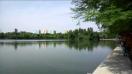 Allview X2 Soul Pro video sample (Full HD, 1920x1088px, 25FPS ) - Mobilissimo.ro