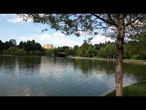 Allview P8 Energy, mostră video Full HD IV. (1920x1080. 25 fps) - Mobilissimo.ro