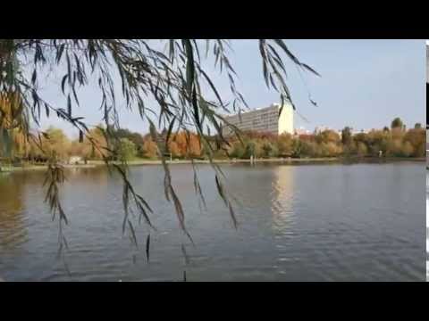 Allview V2 Viper, mostră video Full HD 25 FPS IV. - Mobilissimo.ro
