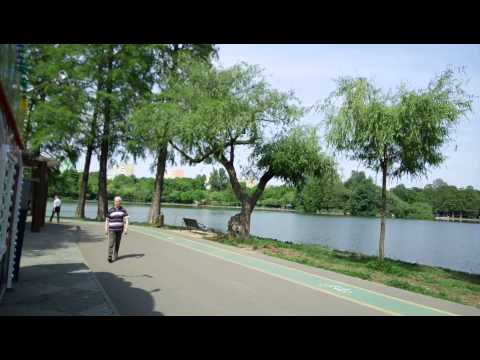 Allview X2 Soul Pro video sample, colors (Full HD, 1920x1088px, 25FPS ) - Mobilissimo.ro