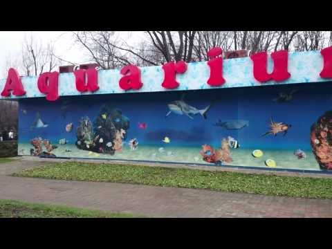 Sony Xperia Z1 Compact Video Sample II. - Mobilissimo.ro