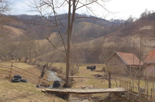 Samsung Galaxy S10+ - Mostre Foto (ziua): 20190308_130435.jpg