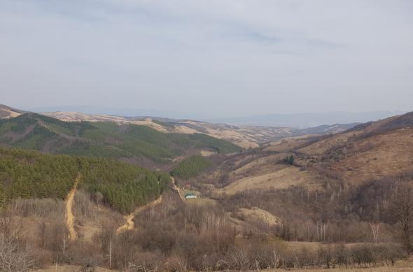 Samsung Galaxy S10+ - Mostre Foto (ziua): 20190308_132207.jpg
