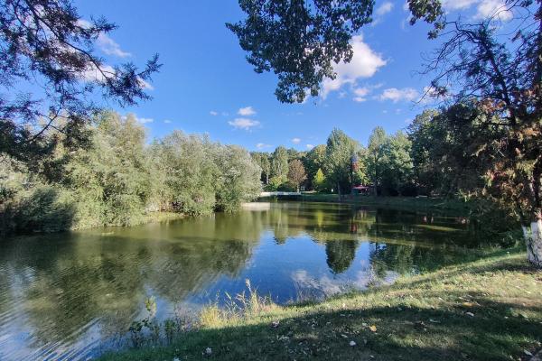 realme GT Neo 3T - Mostre Foto (ziua)