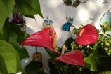 IMG_20210722_183744.jpg