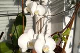 IMG_20210722_183731.jpg