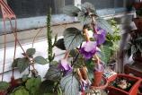 IMG_20210722_183819.jpg