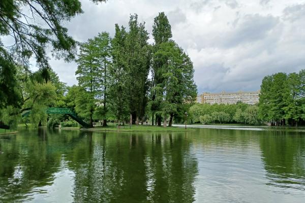 Samsung Galaxy A32 5G - Mostre Foto (ziua)