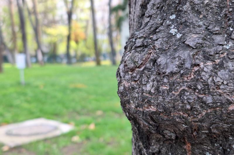 Samsung Galaxy A54 - Mostre Foto: 20230406_172255.jpg