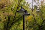 OPPO-Find-X9-Pro-Mostre-bokeh_003.jpg