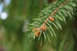 OPPO-Find-X9-Pro-Mostre-macro_018.jpg