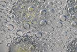 OPPO-Find-X9-Pro-Mostre-macro_027.jpg