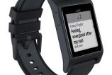 Pebble 2 (8).jpg