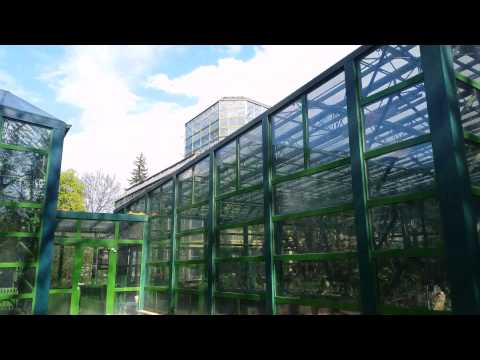 Samsung Galaxy S5 Video Sample (2160p - 4K) - Mobilissimo.ro