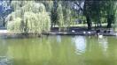 ASUS Eee Pad Slider video sample - Mobilissimo TV