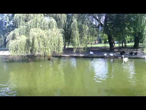 ASUS Eee Pad Slider video sample - Mobilissimo TV