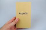 Bluboo-Picasso-4G_107.JPG