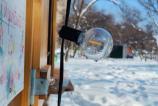 OPPO-Reno13-F-Mostre-Bokeh_005.jpg