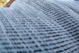 OPPO-Reno13-F-Mostre-Macro_007.jpg