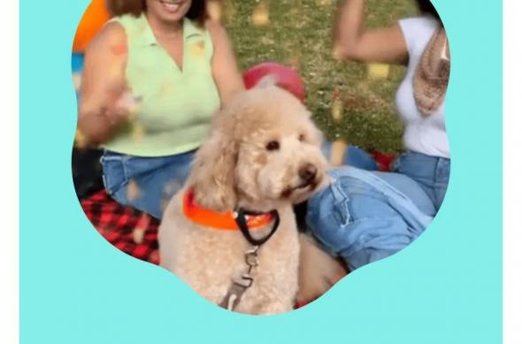 Google Photos „Create”: download - 2025-07-13T212650.093.jpeg