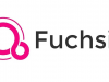 Google Fuchsia, noul sistem de operare Internet of Things are logo-ul oficial confimat