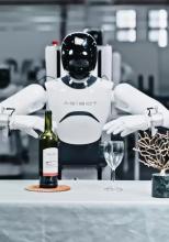 China livrează peste 97% dintre roboții umanoizi ai lumii; AGIBOT depășește Unitree în 2026