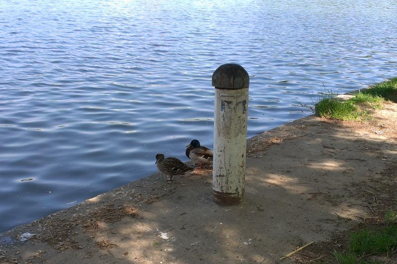 HTC One S - Mostre Foto (ziua): HTC-One-S-Mostre-foto-ziua_026.jpg