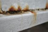 Xiaomi-15-Ultra-Mostre-Macro_006.jpg