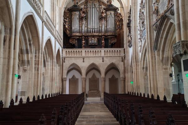 Honor 200 - Mostre Foto (la interior)
