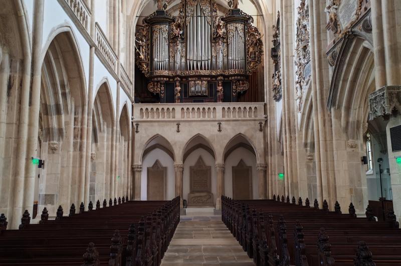 Honor 200 - Mostre Foto (la interior): IMG_20240725_175738.jpg