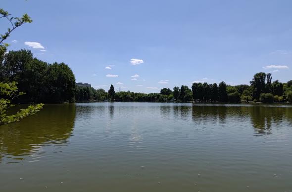 ASUS Zenfone 9 - Mostre Foto (ziua): P_20220719_135125.jpg