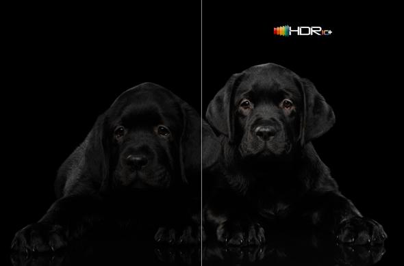 TCL C81 (TCL 65C81) - Fotografii oficiale: TCL-C81_011.jpg