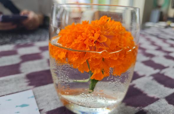 POCO F8 Pro - Mostre bokeh: POCO-F8-Pro-Mostre-Bokeh_016.jpg