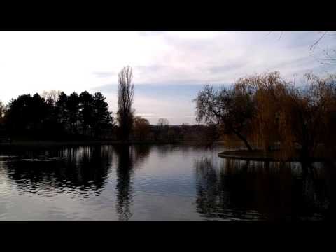 ASUS ZenFone 3 ZE552KL, mostră video Full HD, 30 FPS (pano, dynamic range, zoom) - Mobilissimo.ro